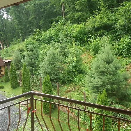 U Lyudmily Villa Karpaty Exterior photo