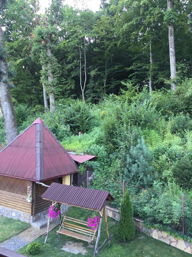 U Lyudmily Lodge Karpaty