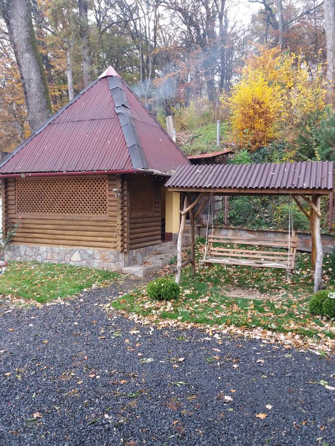 U Lyudmily * Karpaty
