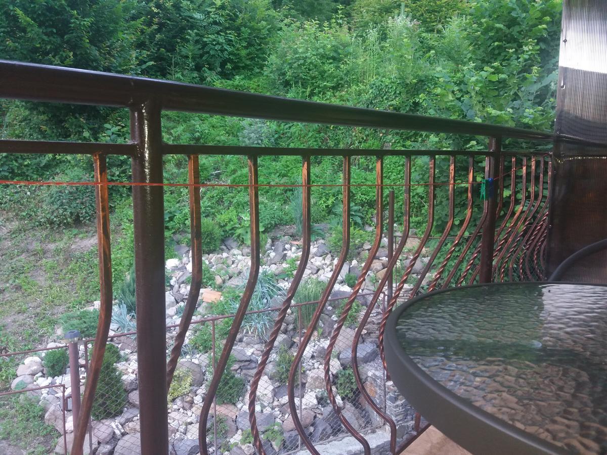 Lodge U Lyudmily Karpaty